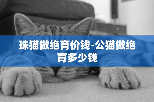 珠貓做絕育價錢-公貓做絕育多少錢