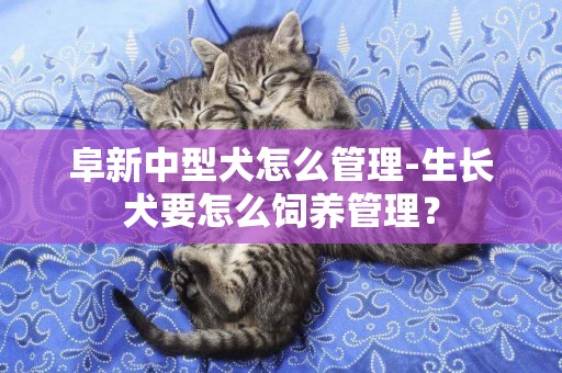 阜新中型犬怎么管理-生長犬要怎么飼養管理？