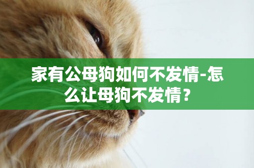 家有公母狗如何不發情-怎么讓母狗不發情？
