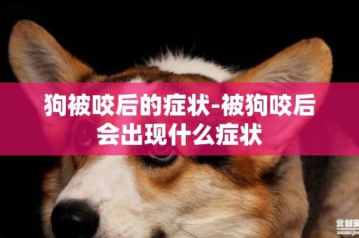狗被咬后的癥狀-被狗咬后會出現什么癥狀