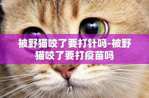 被野貓咬了要打針嗎-被野貓咬了要打疫苗嗎
