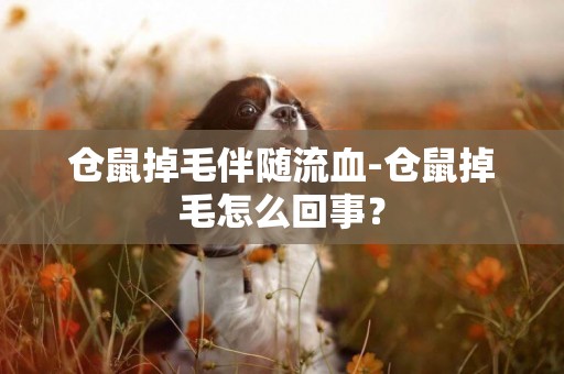 倉鼠掉毛伴隨流血-倉鼠掉毛怎么回事？