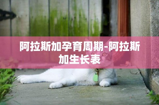 阿拉斯加孕育周期-阿拉斯加生長表