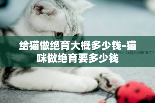 給貓做絕育大概多少錢-貓咪做絕育要多少錢