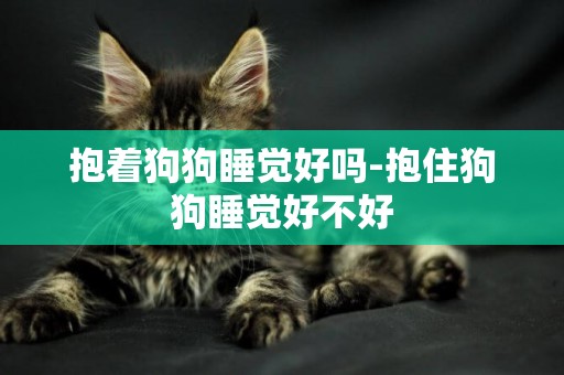 抱著狗狗睡覺好嗎-抱住狗狗睡覺好不好