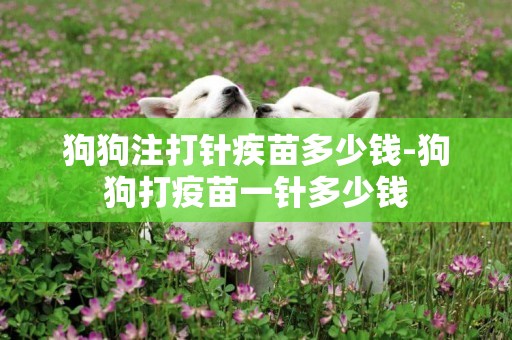 狗狗注打針疾苗多少錢-狗狗打疫苗一針多少錢