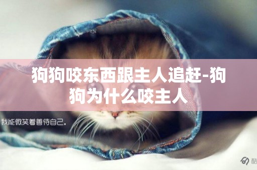 狗狗咬東西跟主人追趕-狗狗為什么咬主人