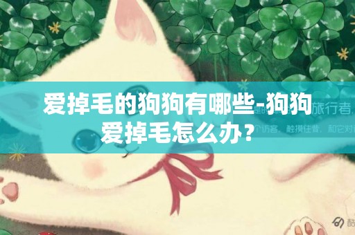 愛掉毛的狗狗有哪些-狗狗愛掉毛怎么辦？