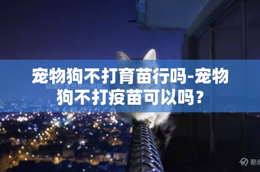 寵物狗不打育苗行嗎-寵物狗不打疫苗可以嗎？