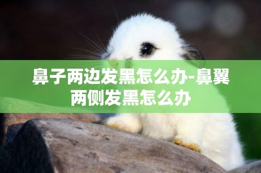 鼻子兩邊發黑怎么辦-鼻翼兩側發黑怎么辦
