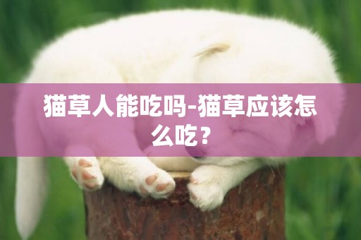 貓草人能吃嗎-貓草應該怎么吃？