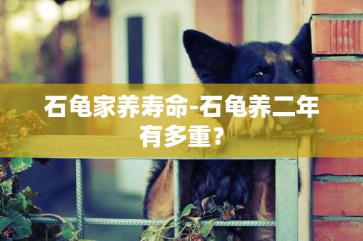 石龜家養壽命-石龜養二年有多重？