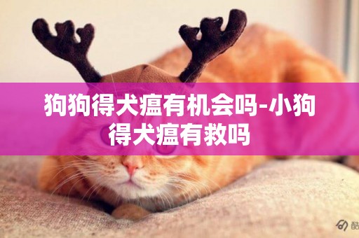 狗狗得犬瘟有機會嗎-小狗得犬瘟有救嗎