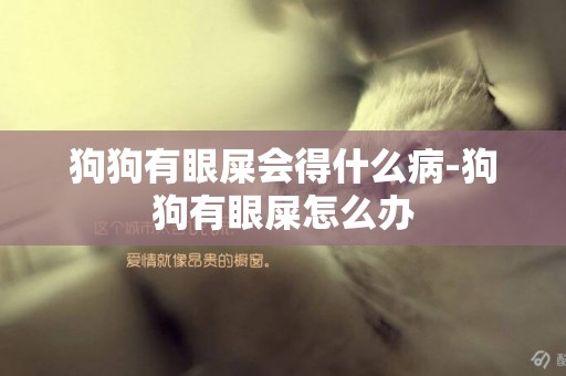 狗狗有眼屎會得什么病-狗狗有眼屎怎么辦