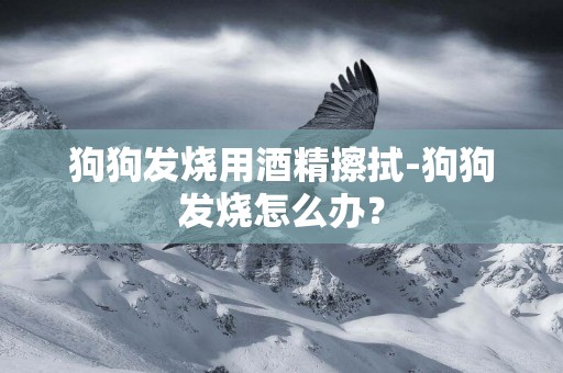 狗狗發燒用酒精擦拭-狗狗發燒怎么辦？