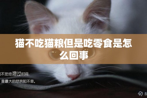 貓不吃貓糧但是吃零食是怎么回事