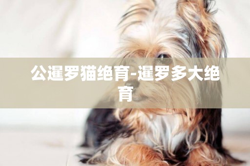 公暹羅貓絕育-暹羅多大絕育