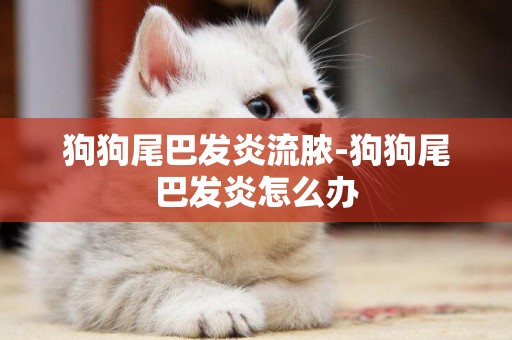 狗狗尾巴發炎流膿-狗狗尾巴發炎怎么辦