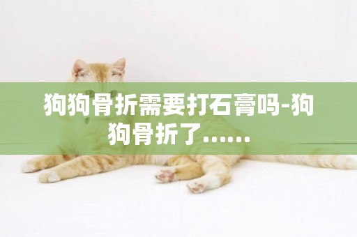 狗狗骨折需要打石膏嗎-狗狗骨折了……