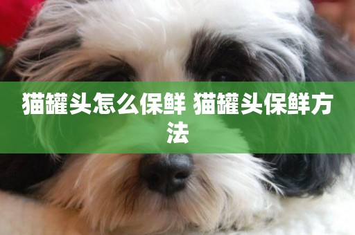 貓罐頭怎么保鮮 貓罐頭保鮮方法