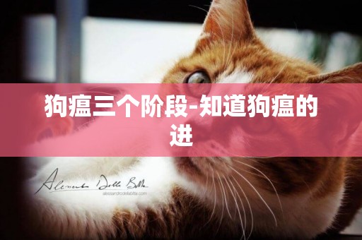 狗瘟三個階段-知道狗瘟的進