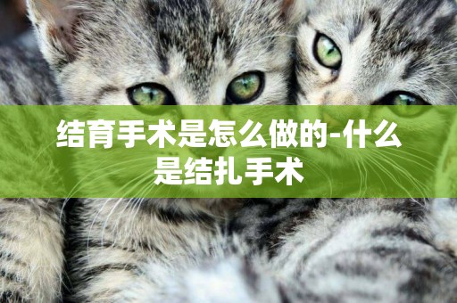 結育手術是怎么做的-什么是結扎手術