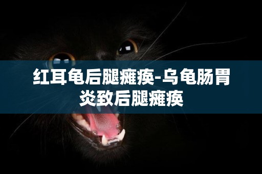 紅耳龜后腿癱瘓-烏龜腸胃炎致后腿癱瘓