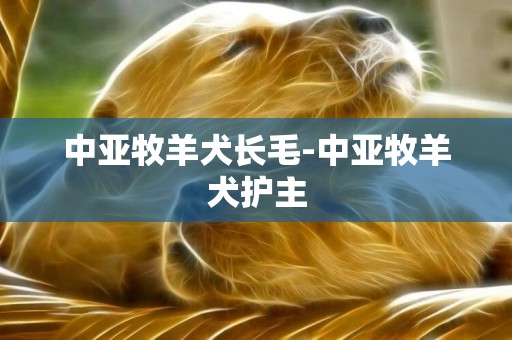 中亞牧羊犬長毛-中亞牧羊犬護主