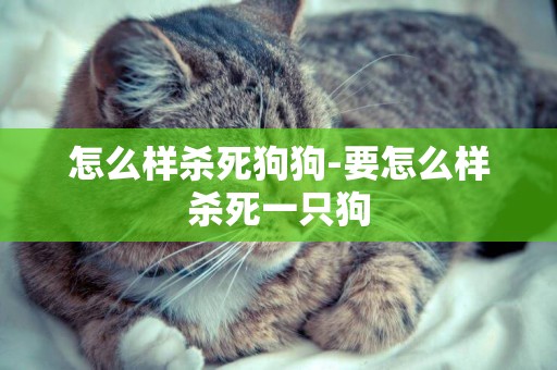 怎么樣殺死狗狗-要怎么樣殺死一只狗