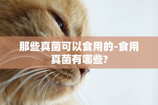那些真菌可以食用的-食用真菌有哪些?