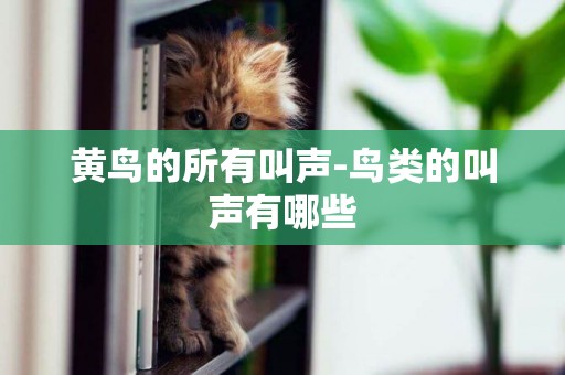 黃鳥的所有叫聲-鳥類的叫聲有哪些