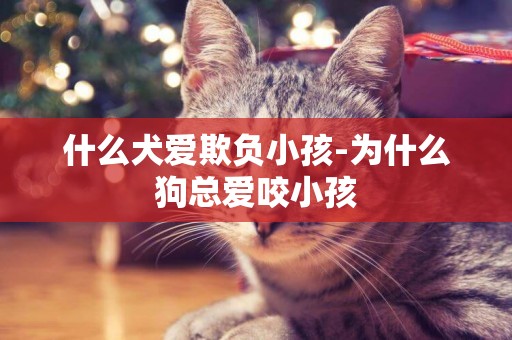 什么犬愛欺負小孩-為什么狗總愛咬小孩