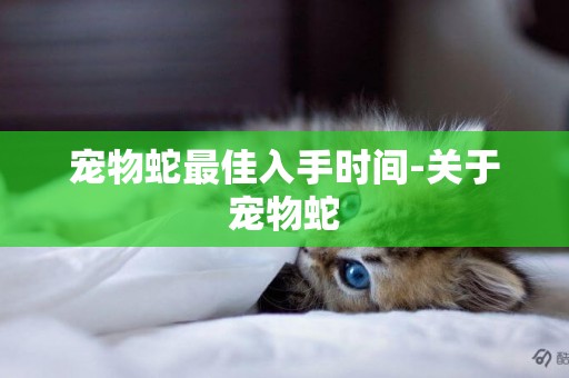 寵物蛇最佳入手時間-關于寵物蛇