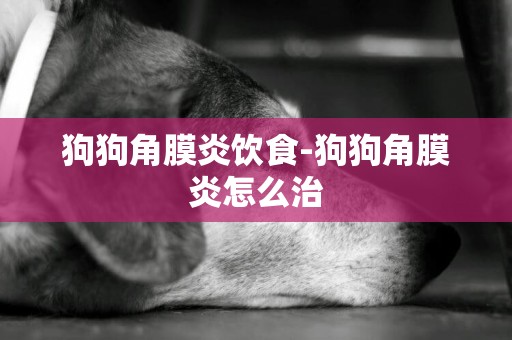 狗狗角膜炎飲食-狗狗角膜炎怎么治