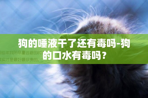 狗的唾液干了還有毒嗎-狗的口水有毒嗎？