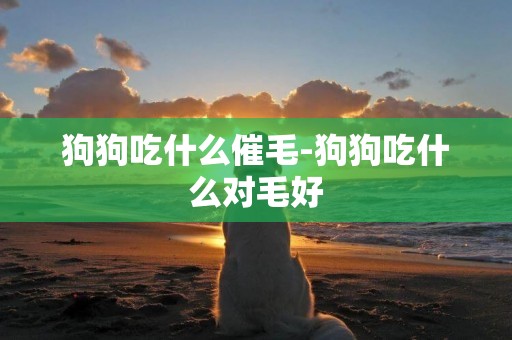 狗狗吃什么催毛-狗狗吃什么對毛好