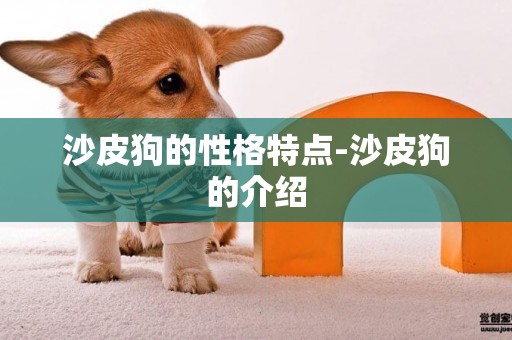 沙皮狗的性格特點-沙皮狗的介紹
