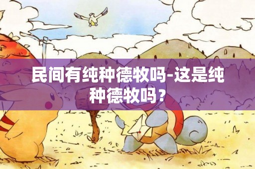 民間有純種德牧嗎-這是純種德牧嗎？