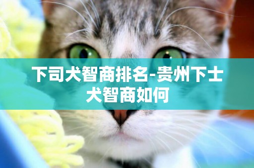 下司犬智商排名-貴州下士犬智商如何