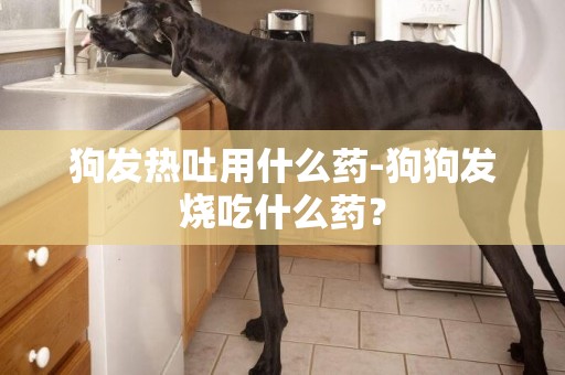 狗發熱吐用什么藥-狗狗發燒吃什么藥？