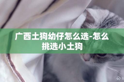 廣西土狗幼仔怎么選-怎么挑選小土狗