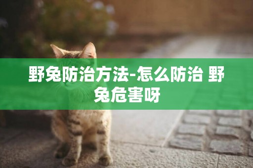 野兔防治方法-怎么防治 野兔危害呀