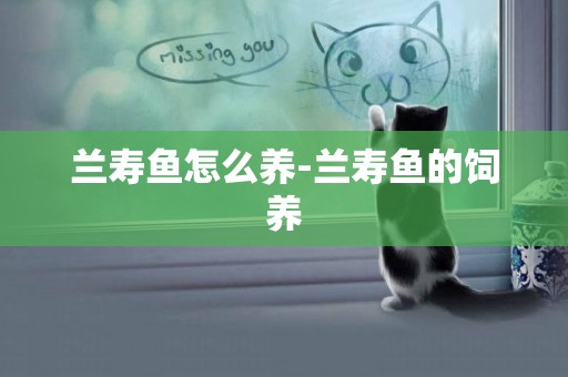 蘭壽魚怎么養-蘭壽魚的飼養