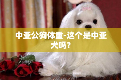 中亞公狗體重-這個是中亞犬嗎？