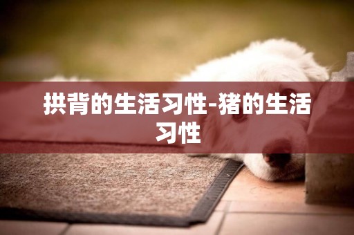 拱背的生活習性-豬的生活習性