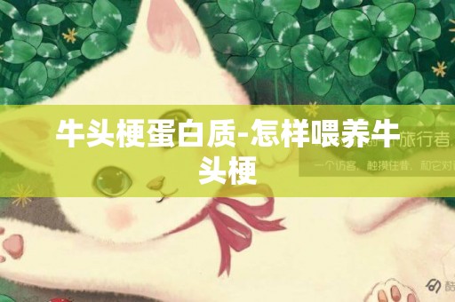 牛頭梗蛋白質-怎樣喂養牛頭梗