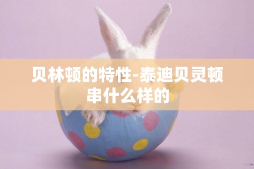 貝林頓的特性-泰迪貝靈頓串什么樣的