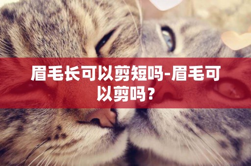 眉毛長可以剪短嗎-眉毛可以剪嗎？
