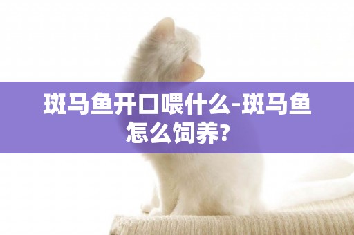 斑馬魚開口喂什么-斑馬魚怎么飼養?