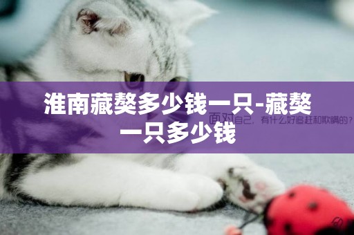 淮南藏獒多少錢一只-藏獒一只多少錢